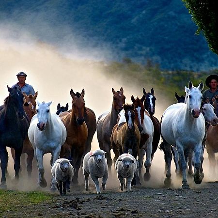 Estancia Nibepo Aike Colonia Francisco Perito Moreno Exteriér fotografie