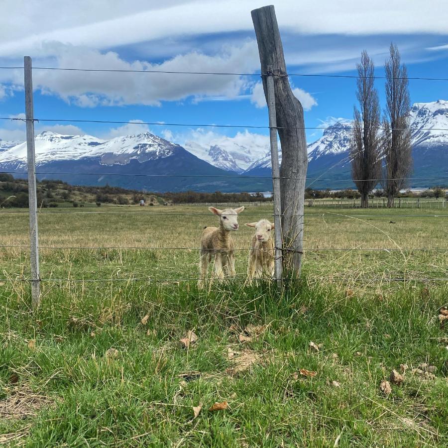Estancia Nibepo Aike Colonia Francisco Perito Moreno Exteriér fotografie
