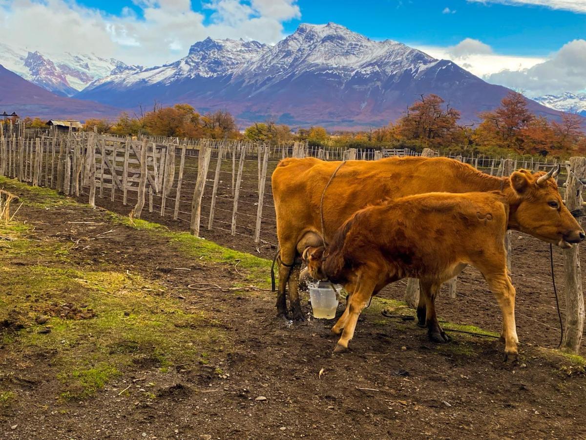 Estancia Nibepo Aike Colonia Francisco Perito Moreno Exteriér fotografie