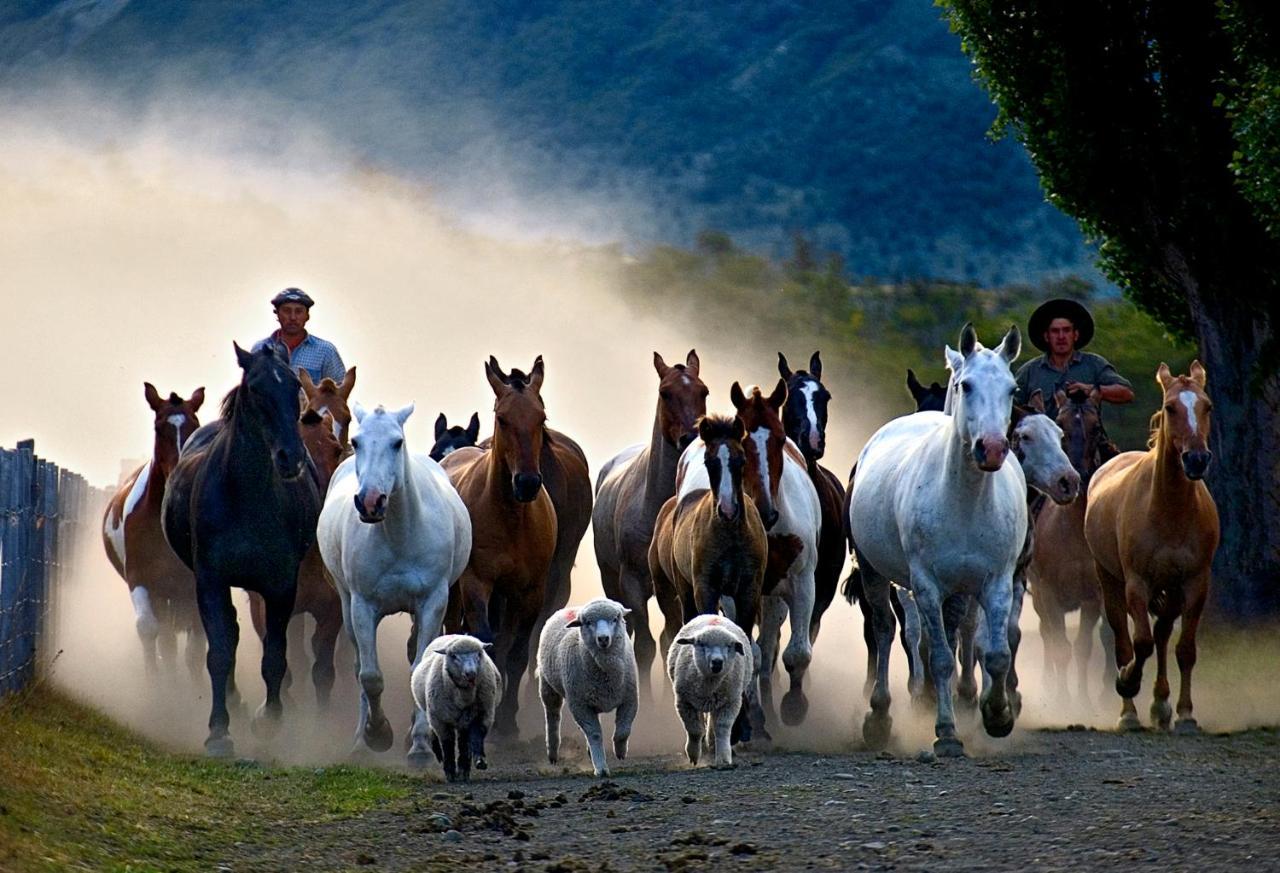 Estancia Nibepo Aike Colonia Francisco Perito Moreno Exteriér fotografie