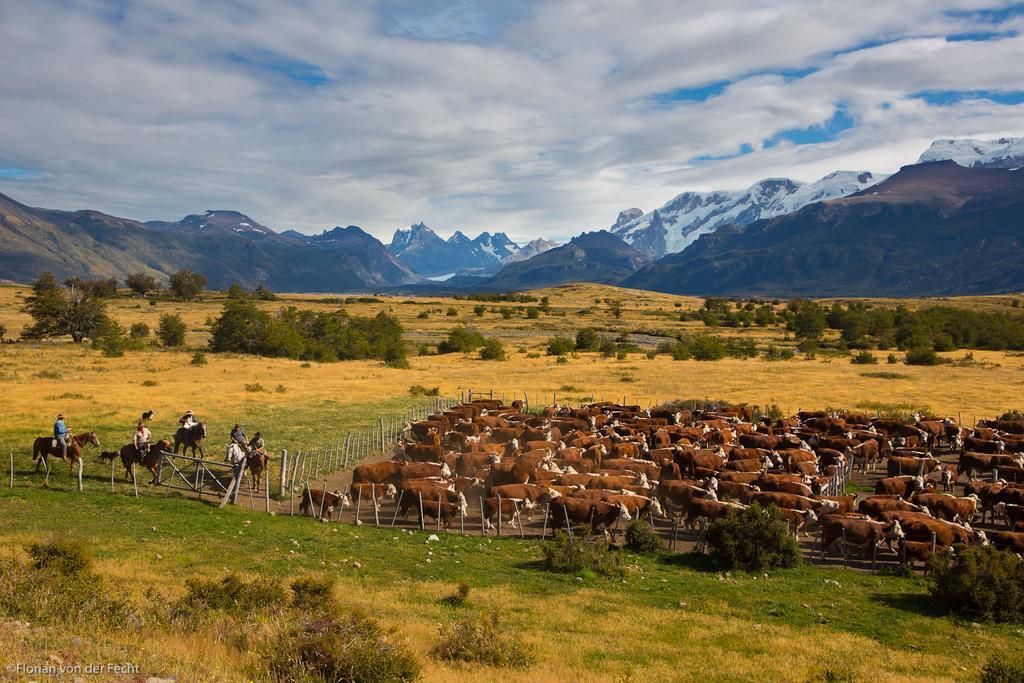 Estancia Nibepo Aike Colonia Francisco Perito Moreno Exteriér fotografie